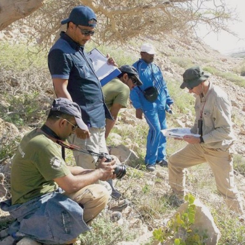 Oman New animal, Plant species found at Jabal Samhan Virgin Radio Oman